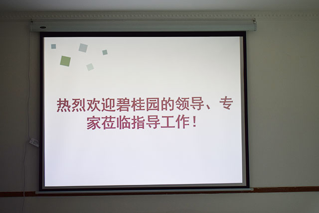 碧桂園領(lǐng)導(dǎo)、專家蒞臨德國CUALI磚麗指導(dǎo)工作